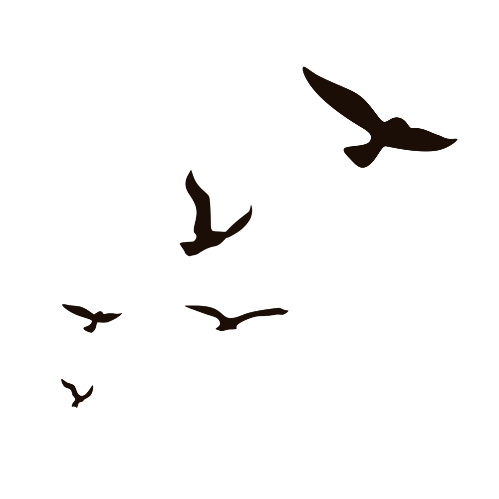 Bird silhouettes